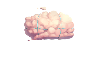 Cloud Cruiser Airship Balloon