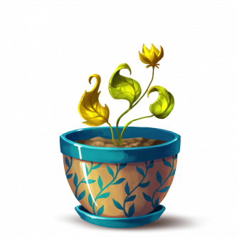 Small Blooming Spice Plant