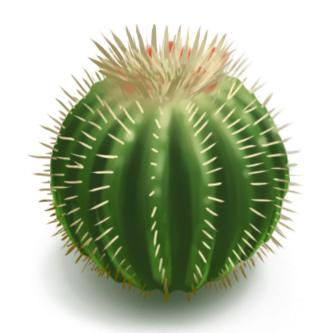 Cactus Charm