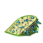 Limelight Cheese