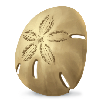 Sand Dollar Egg