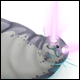 Seal Trap Skin