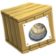 Crate of Seashells