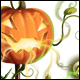 The Spirit of Halloween Skin
