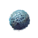 Sponge Charm
