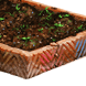 Vegetation Base