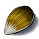 Yellow Pepper Seed