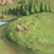 Meadow