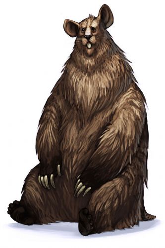 Bear Mouse