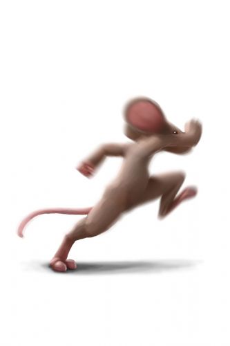 Speedy Mouse