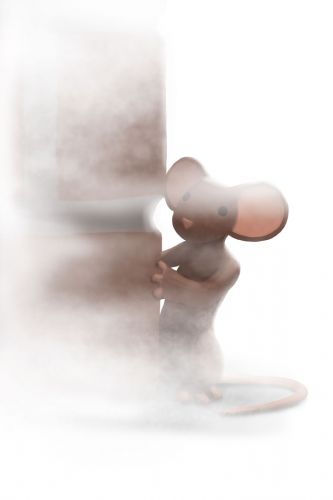 Fog Mouse