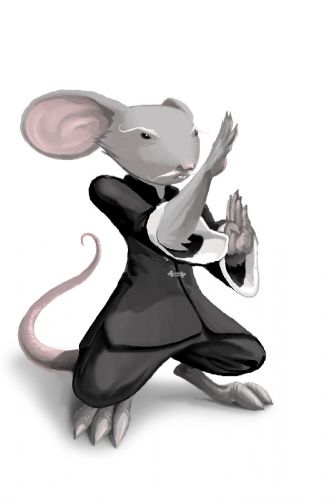 Kung Fu Mouse