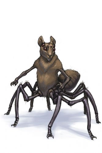Spider Mouse